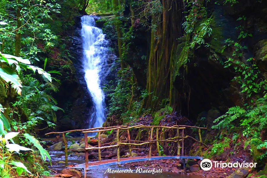 Catarata Los Murcielagos - Monteverde Waterfall2