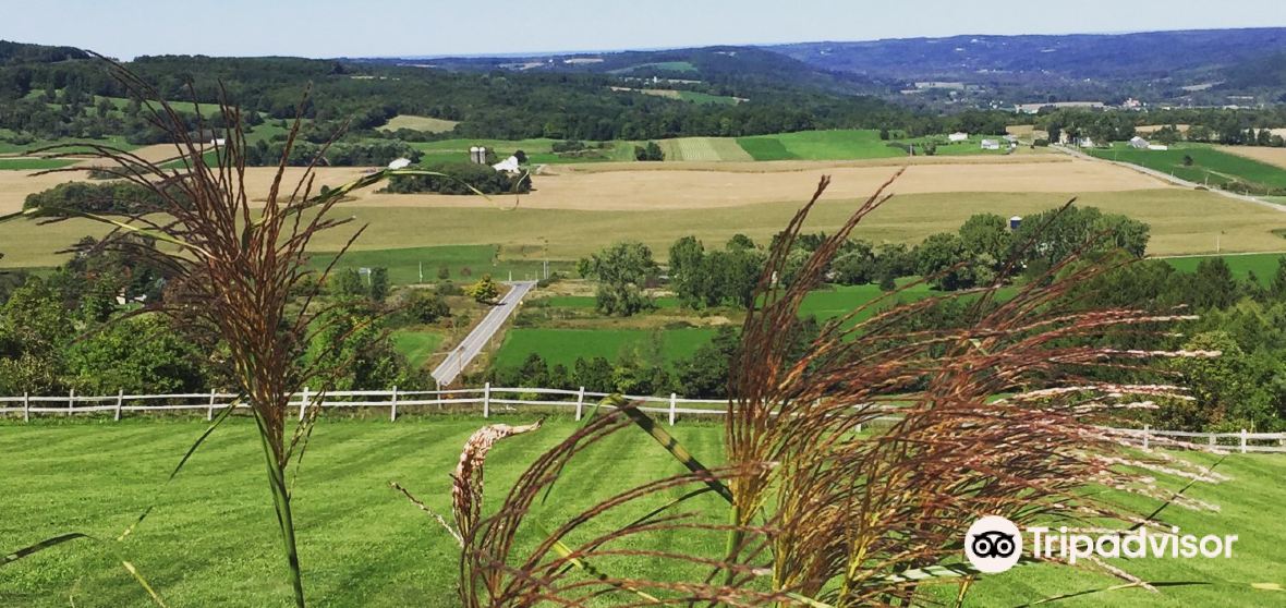 Fabius 2023 Top Things to Do Fabius Travel Guides Top