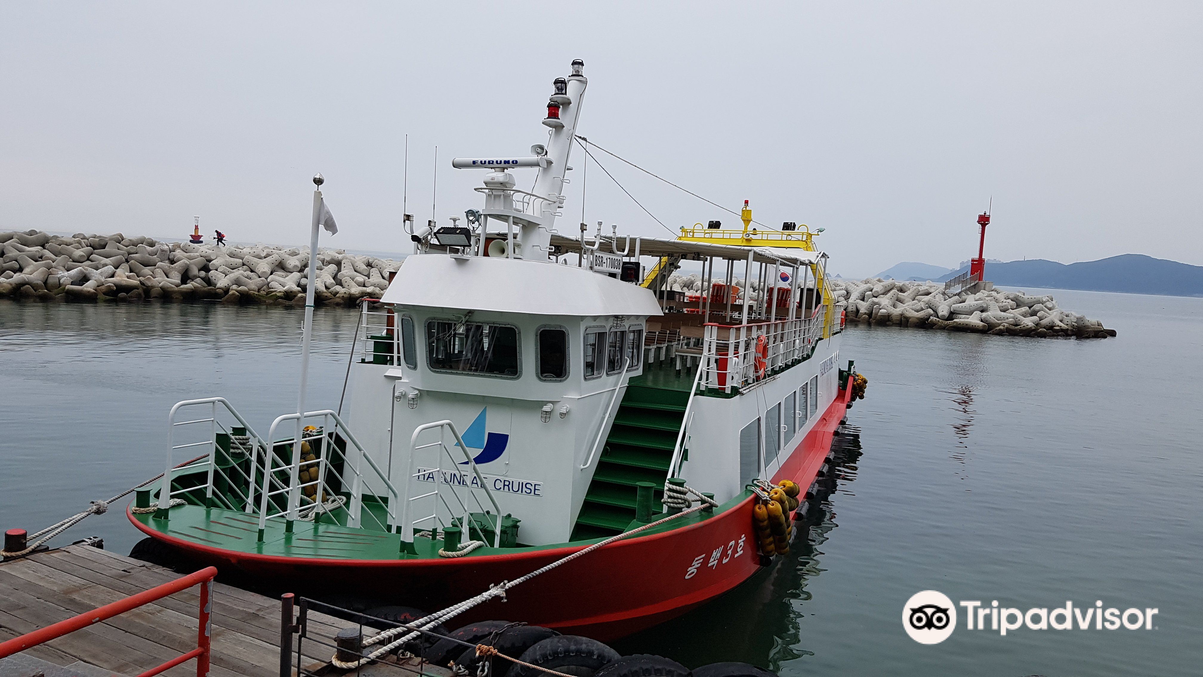 Busan To Jeju Trip Guide