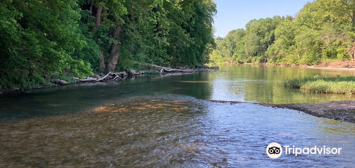 Nixa Travel Guide 2024 Things to Do, What To Eat & Tips