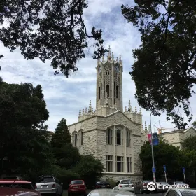 Auckland Walks