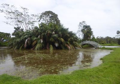 Guyana Botanical Gardens