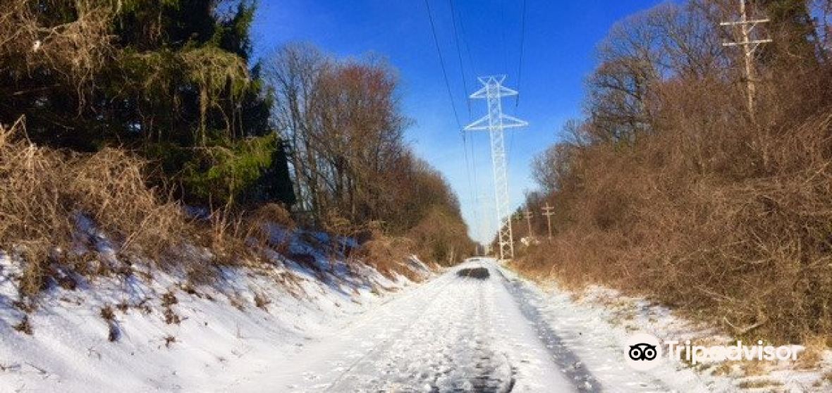 Purcellville Travel Guide 2023 Things to Do, What To Eat & Tips