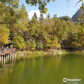ZhuMuChi