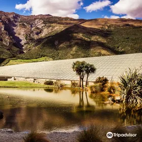 Odyssey New Zealand