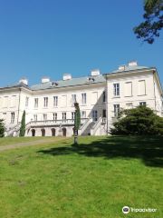 Walewscy Palace in Walewice