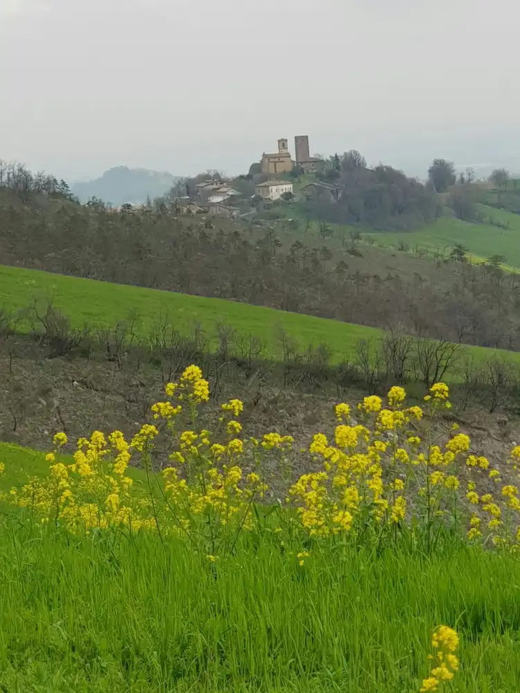 Hotels in Marano sul Panaro