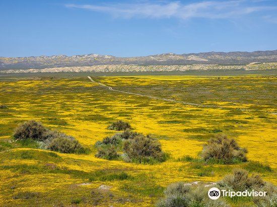 マリコパ Carrizo Plain National Monument 評判 案内 トリップドットコム