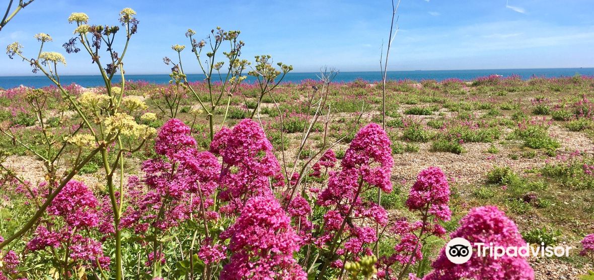 Kingsdown Travel Guide 2023 Things to Do, What To Eat & Tips