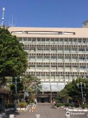 Okinawa City Hall Observation Decks