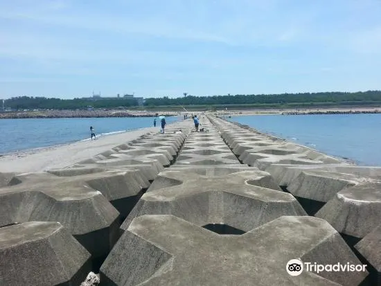 西海岸公園旅遊攻略指南 西海岸公園評價 西海岸公園附近推薦 Trip Com