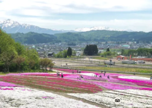 永林寺のレビュー 永林寺のチケット 永林寺の割引 永林寺の交通機関 所在地 営業時間 永林寺周辺の観光スポット ホテル グルメ Trip Com
