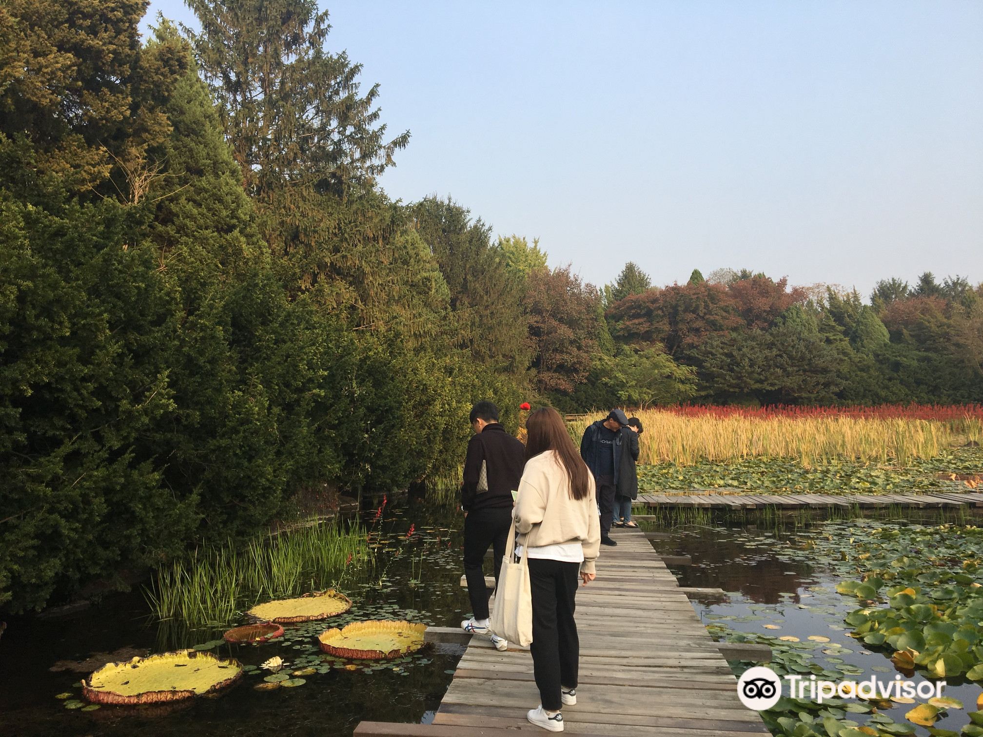 How To Spend 5 Days In Paju-si - A Complete Itinerary For Paju-si 