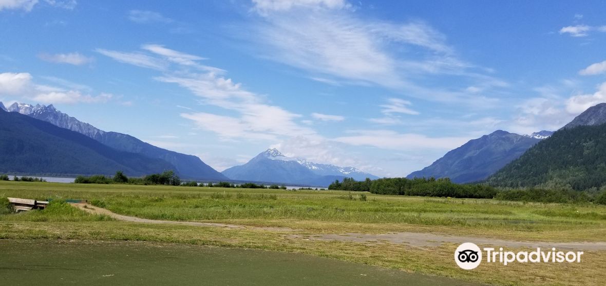 Haines 2023 Top Things to Do Haines Travel Guides Top