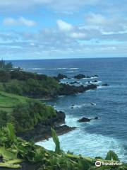Hoaloha Jeep Adventures