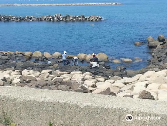 西海岸公園旅遊攻略指南 西海岸公園評價 西海岸公園附近推薦 Trip Com