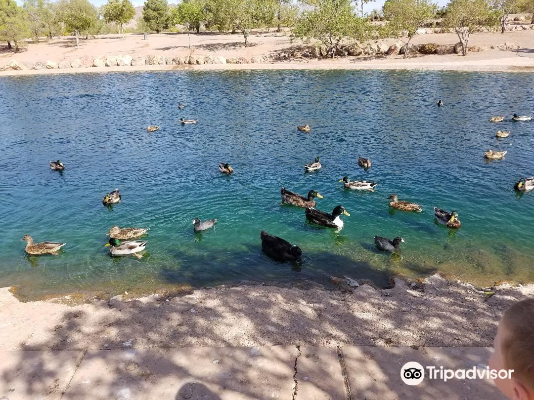 Veterans Memorial Parkのレビュー Veterans Memorial Parkのチケット Veterans Memorial Parkの割引 Veterans Memorial Parkの交通機関 所在地 営業時間 Veterans Memorial Park周辺の観光スポット ホテル グルメ Trip Com
