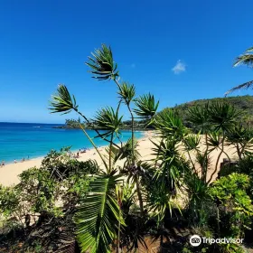 Kevo's Beach Bus