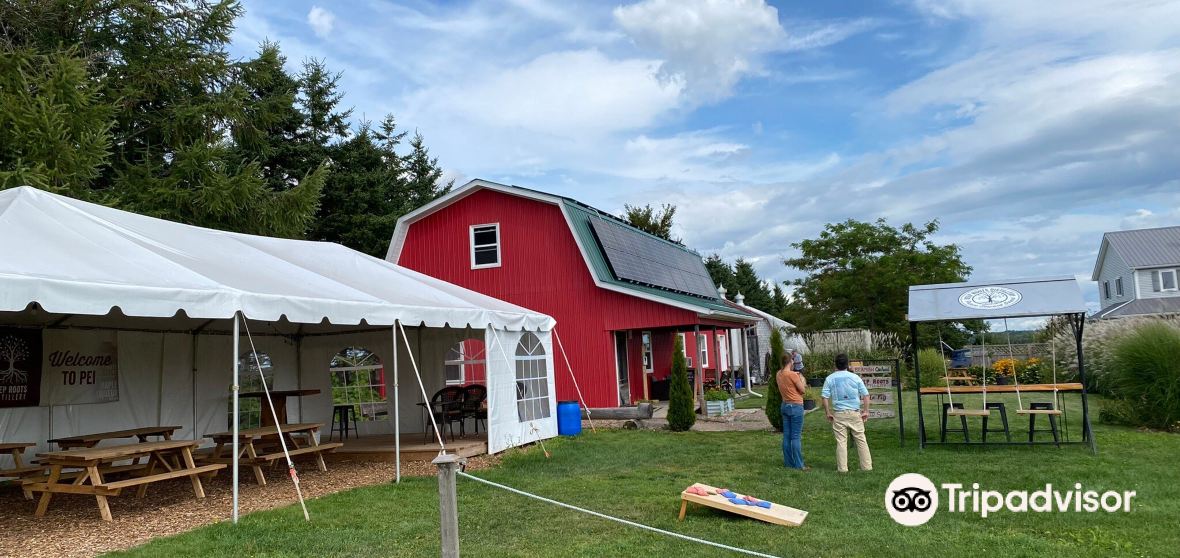 กิจกรรมน่าทำยอดนิยมในWarren Groveประจำปี 2023 คู่มือท่องเที่ยวWarren