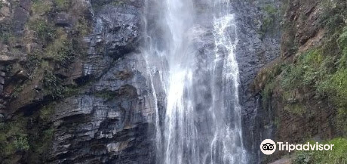 2023年ゴイアス州の人気観光スポット ゴイアス州の旅行ガイド ゴイアス州のおすすめ観光スポットのチケット、ホテル、楽しみ方、グルメ