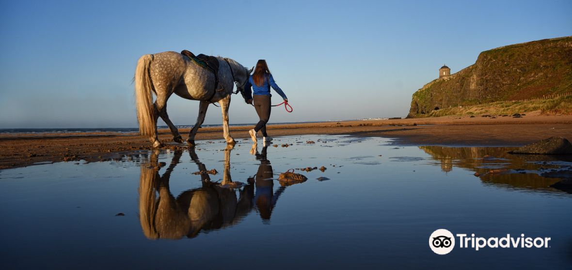 Limavady Travel Guide 2023 - Things to Do, What To Eat & Tips | Trip.com