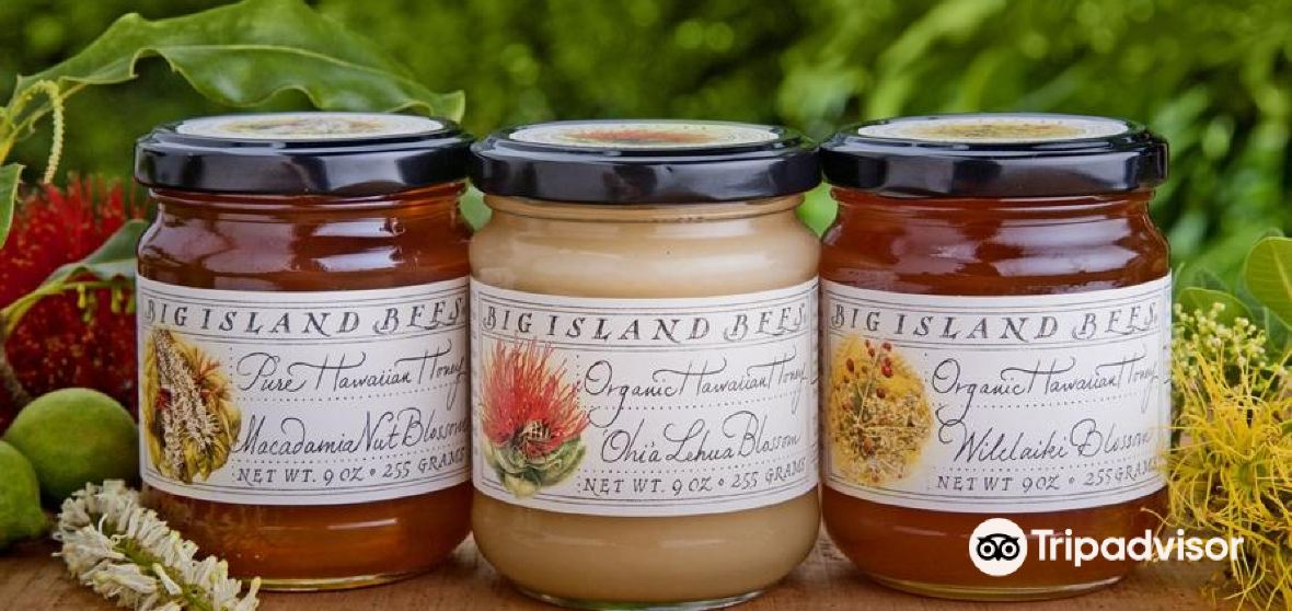 กิจกรรมน่าทำยอดนิยมในHonaunauNapoopooประจำปี 2023 คู่มือท่องเที่ยว