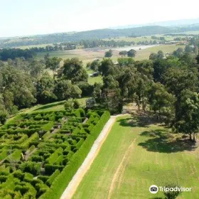Hedgend Maze