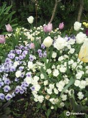 Keio Floral Garden Ange