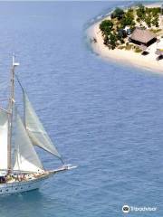 Schooner Whale's Tales
