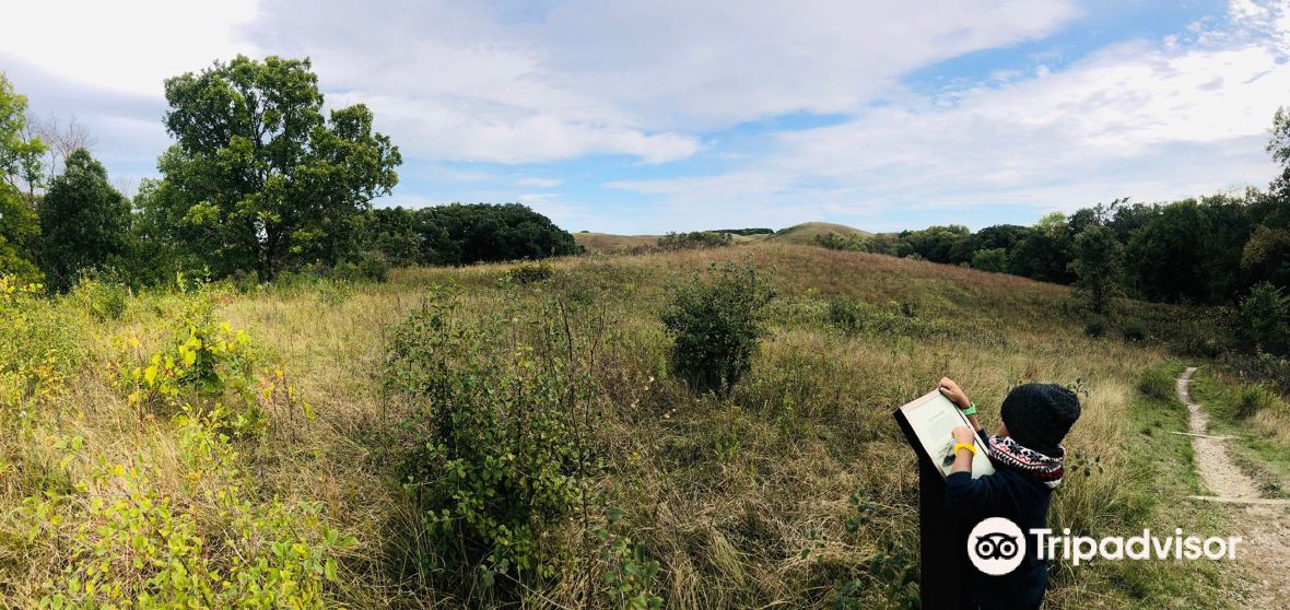 Blue Mounds Township Travel Guide 2023 Things to Do, What To Eat