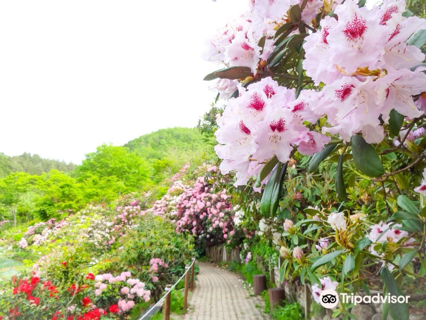 泉ボタニカルガーデンのレビュー 泉ボタニカルガーデンのチケット 泉ボタニカルガーデンの割引 泉ボタニカルガーデンの交通機関 所在地 営業時間 泉ボタニカルガーデン周辺の観光スポット ホテル グルメ Trip Com