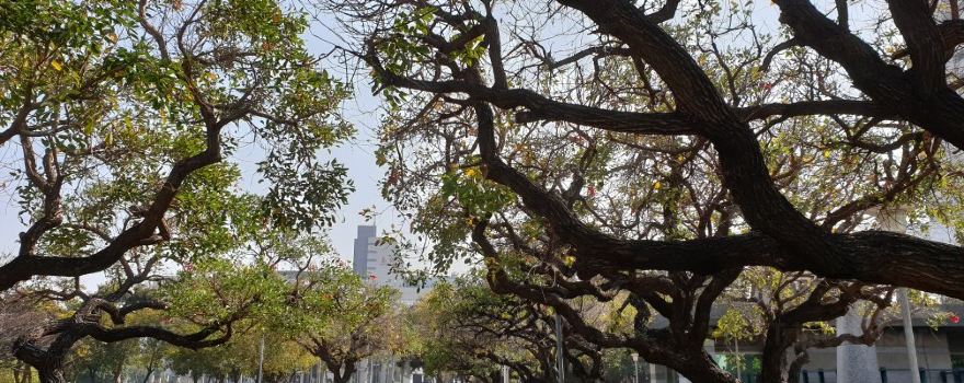 Fengyuan Station 2023 Top Things to Do Fengyuan Station Travel Guides