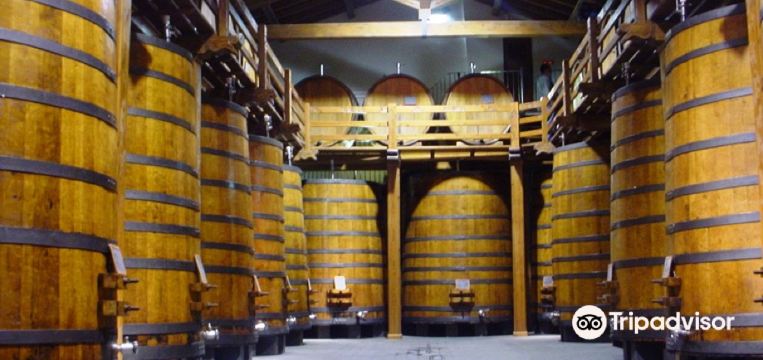 Castiglione di Sicilia 2023 Top Things to Do Castiglione di Sicilia Travel Guides Top