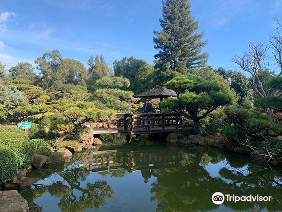 Hayward Japanese Gardens Travel Guidebook Must Visit Attractions In Hayward Hayward Japanese Gardens Nearby Recommendation Tripcom