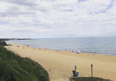 Sandringham Beach