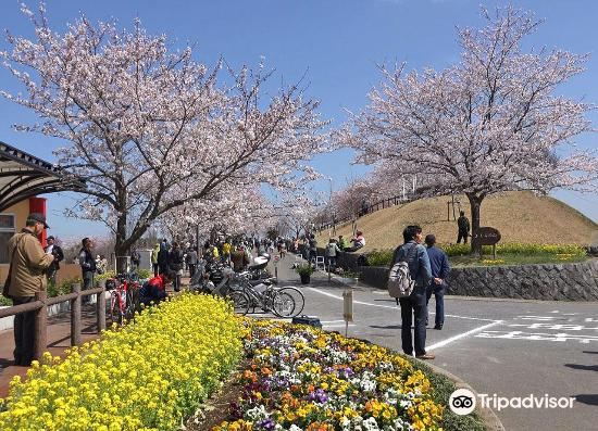 成田 成田市さくらの山 評判 案内 トリップドットコム