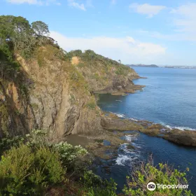Motuarohia (Roberton) Island Track