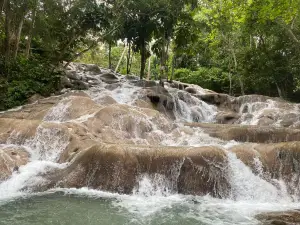 The World Famous Dunn's River Falls & Park