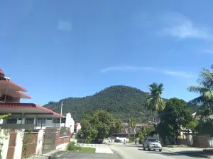 大山腳休養林