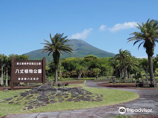 Hachijo Jima Attractions Photo Gallery