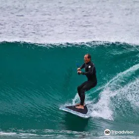 Radfish Malibu
