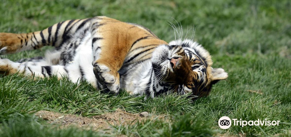 South Galloway Township 2023 Top Things to Do South Galloway Township