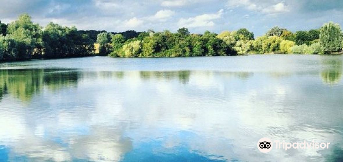 10 Best Things to do in Epping Forest District, Essex Epping Forest District travel guides 10 Best Things to do in Epping Forest District, Essex Epping Forest District travel guides