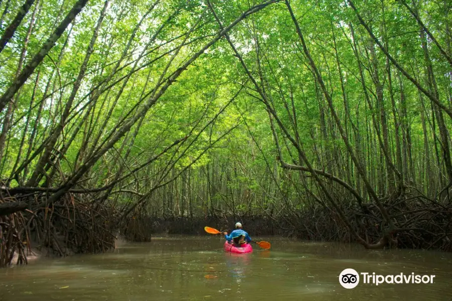 Bangkok Kayak