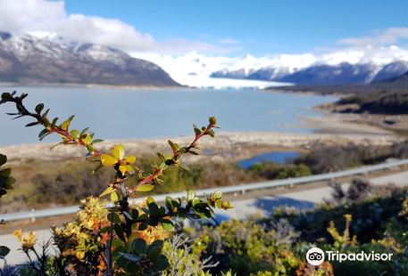 Tolkeyen Patagonia Turismo