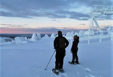 Lapland's Nature Experience รูปภาพAttractionsยอดนิยม