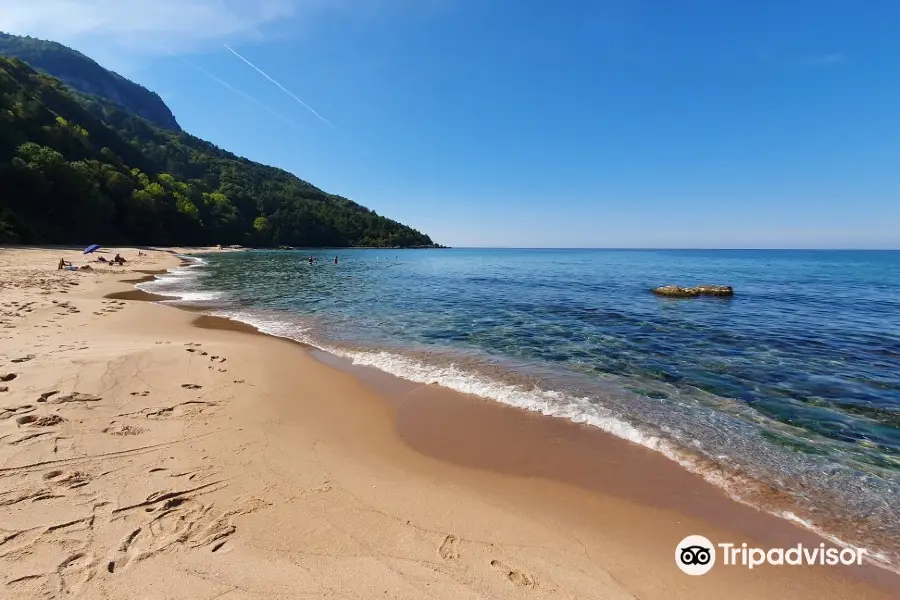 Bozkoy Plaji
