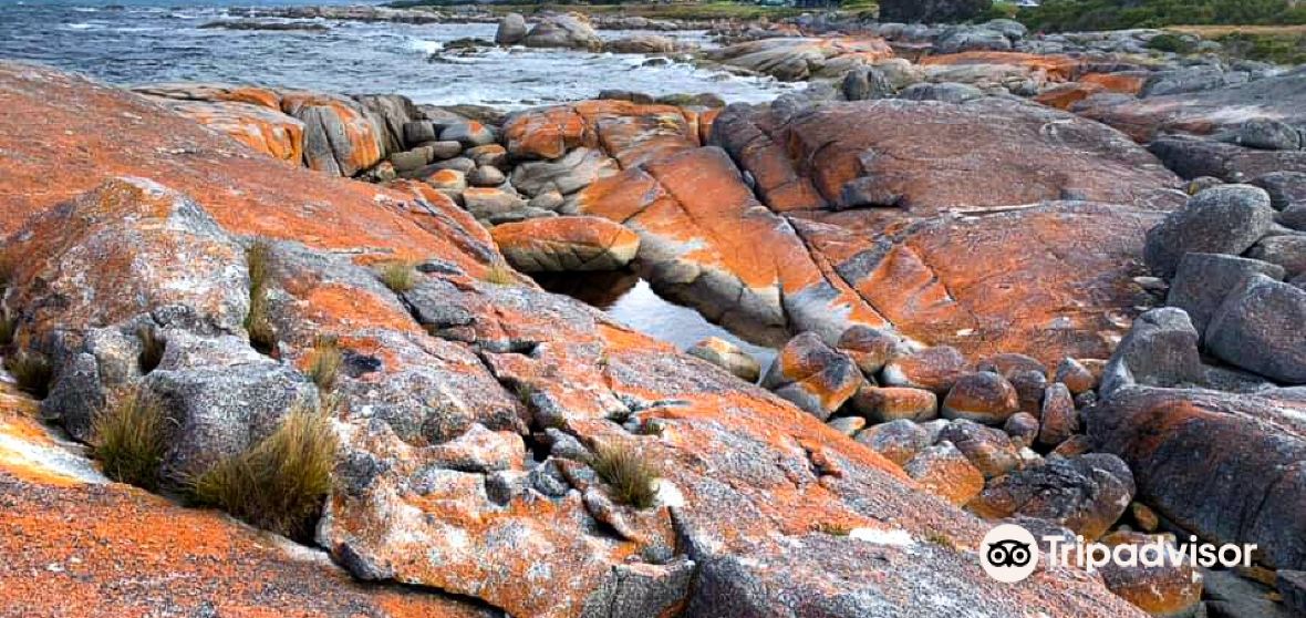 Binalong Bay Travel Guide 2024 Things to Do, What To Eat & Tips