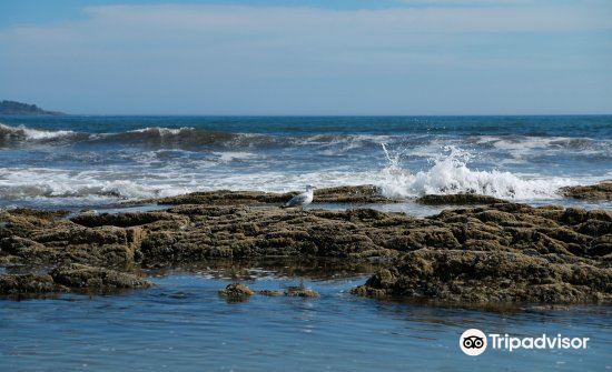 Higgins Beach travel guidebook -must visit attractions in ...