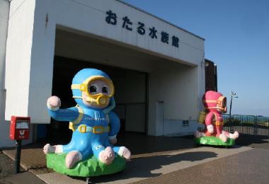 小樽水族館 熱門景點照片